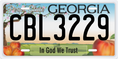 GA license plate CBL3229