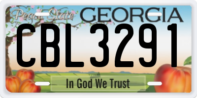 GA license plate CBL3291