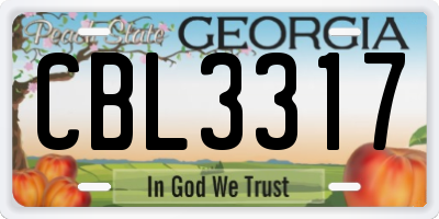 GA license plate CBL3317