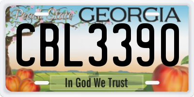 GA license plate CBL3390