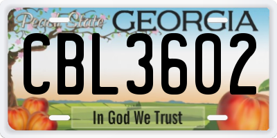 GA license plate CBL3602