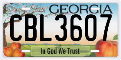 GA license plate CBL3607