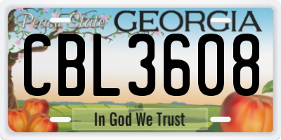 GA license plate CBL3608