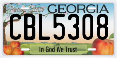 GA license plate CBL5308