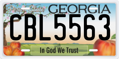 GA license plate CBL5563