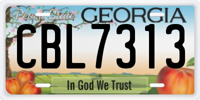 GA license plate CBL7313