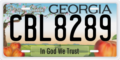 GA license plate CBL8289