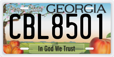 GA license plate CBL8501