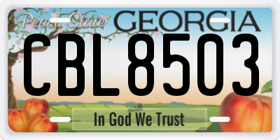 GA license plate CBL8503