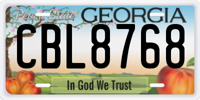 GA license plate CBL8768