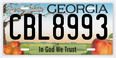 GA license plate CBL8993