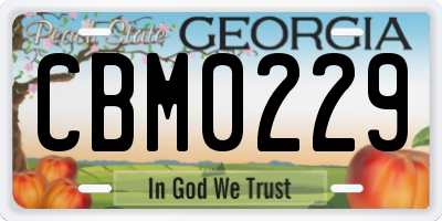 GA license plate CBM0229