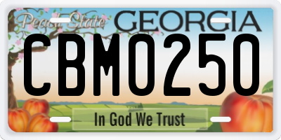 GA license plate CBM0250