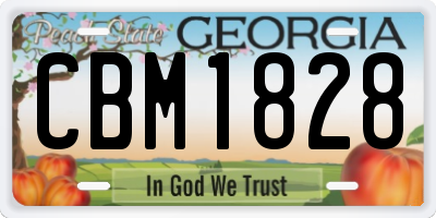 GA license plate CBM1828