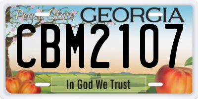 GA license plate CBM2107