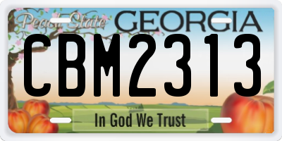 GA license plate CBM2313