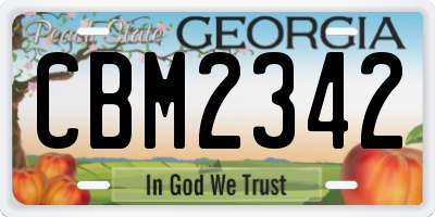 GA license plate CBM2342