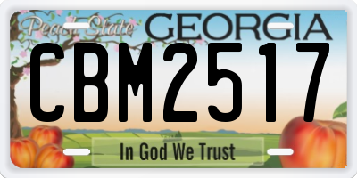 GA license plate CBM2517