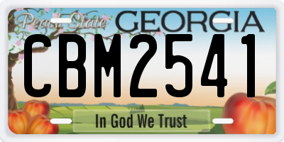 GA license plate CBM2541