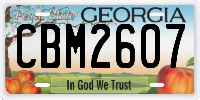 GA license plate CBM2607