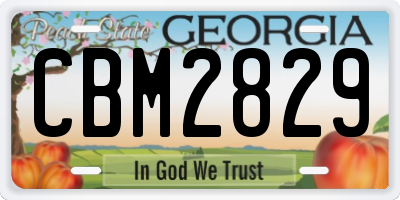 GA license plate CBM2829