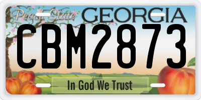 GA license plate CBM2873
