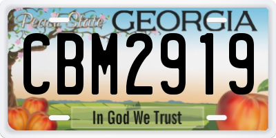 GA license plate CBM2919