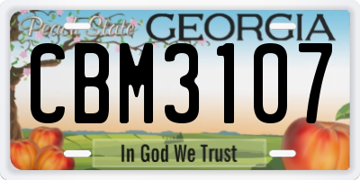 GA license plate CBM3107