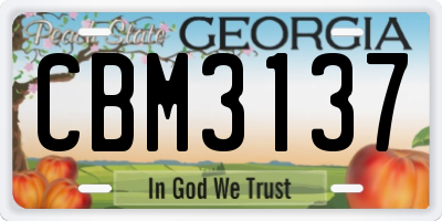 GA license plate CBM3137