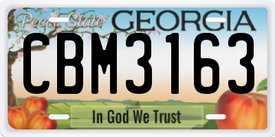 GA license plate CBM3163