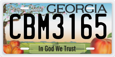 GA license plate CBM3165