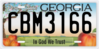 GA license plate CBM3166
