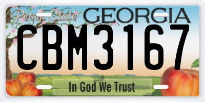 GA license plate CBM3167