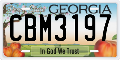 GA license plate CBM3197