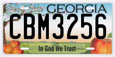 GA license plate CBM3256