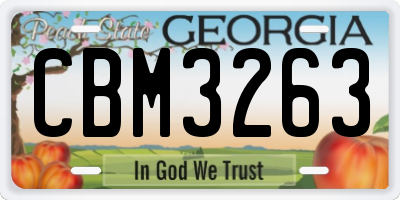 GA license plate CBM3263