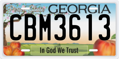 GA license plate CBM3613