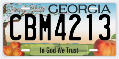 GA license plate CBM4213