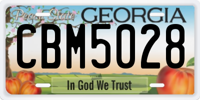 GA license plate CBM5028