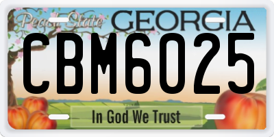 GA license plate CBM6025