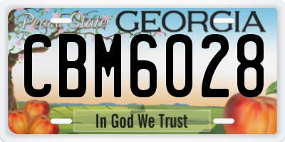 GA license plate CBM6028