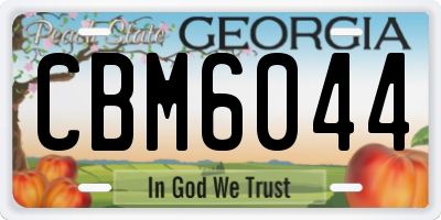 GA license plate CBM6044