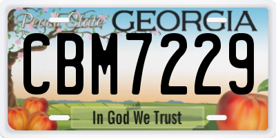 GA license plate CBM7229