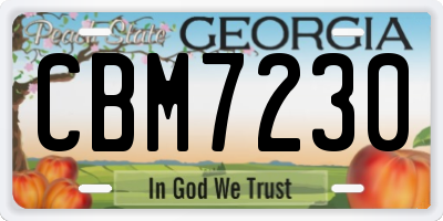 GA license plate CBM7230