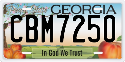 GA license plate CBM7250