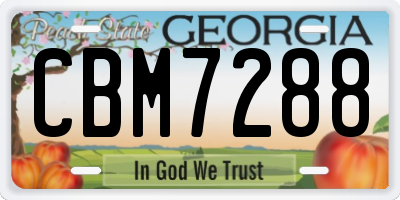 GA license plate CBM7288