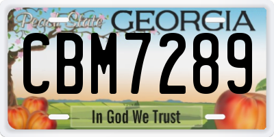 GA license plate CBM7289