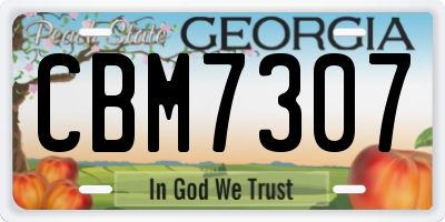 GA license plate CBM7307