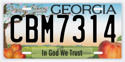 GA license plate CBM7314