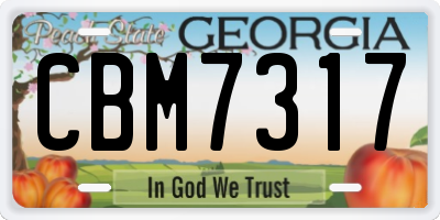 GA license plate CBM7317